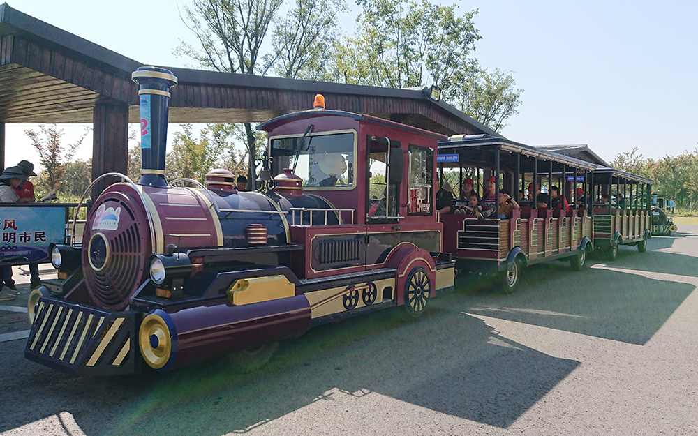 72座觀光小火車（鳶尾紫）