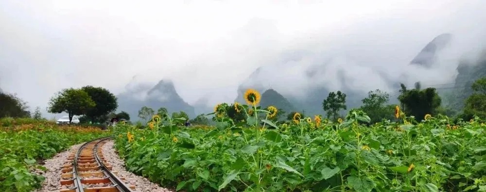 花海小火車