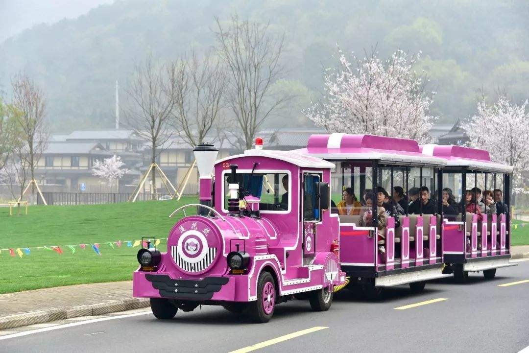 網(wǎng)紅小火車