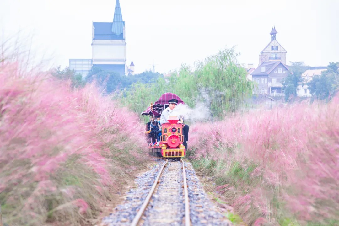 花博匯20座網(wǎng)紅小火車