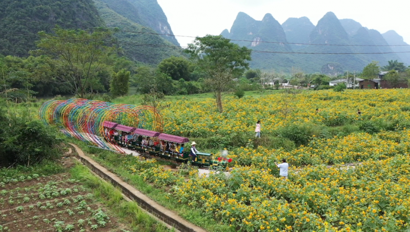 遇龍河25座網(wǎng)紅小火車