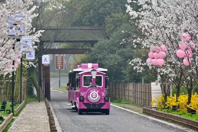 網(wǎng)紅小火車