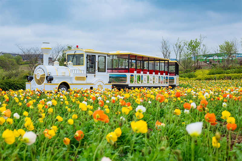 網(wǎng)紅小火車