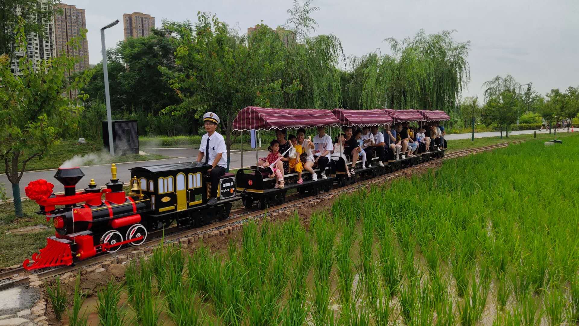 網(wǎng)紅小火車