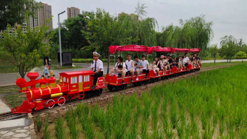 長(zhǎng)安公園16座稻田小火車