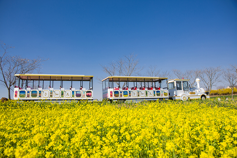 觀光火車生產(chǎn)廠家