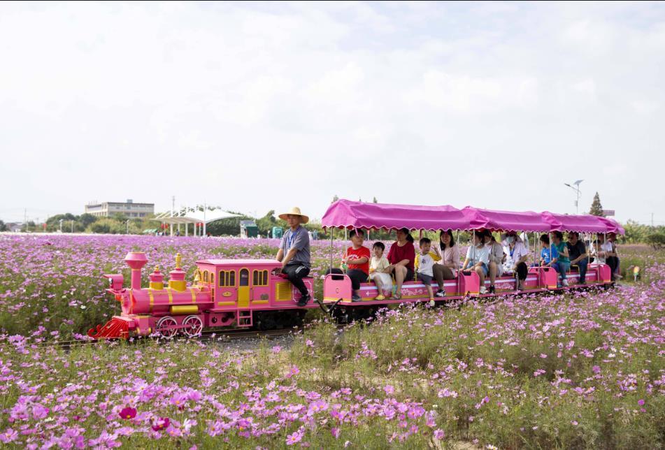 坐小火車相約泰州愛情海 歡樂(lè)田園行