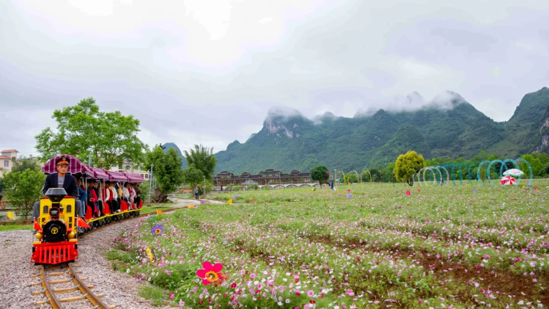 網(wǎng)紅小火車