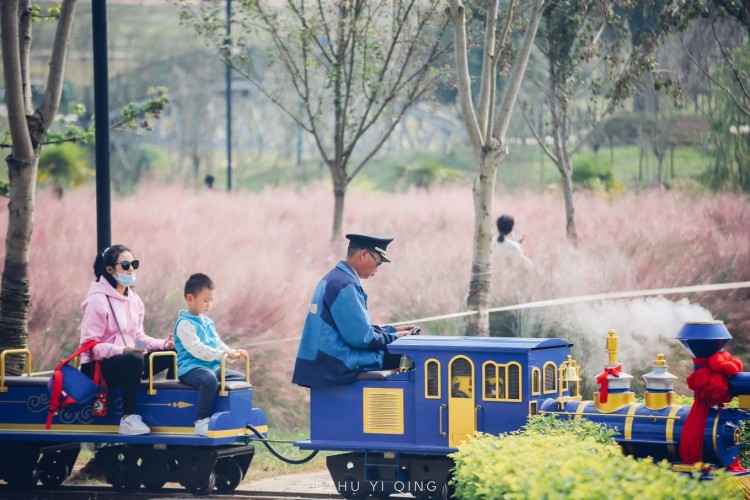 景區(qū)網(wǎng)紅小火車