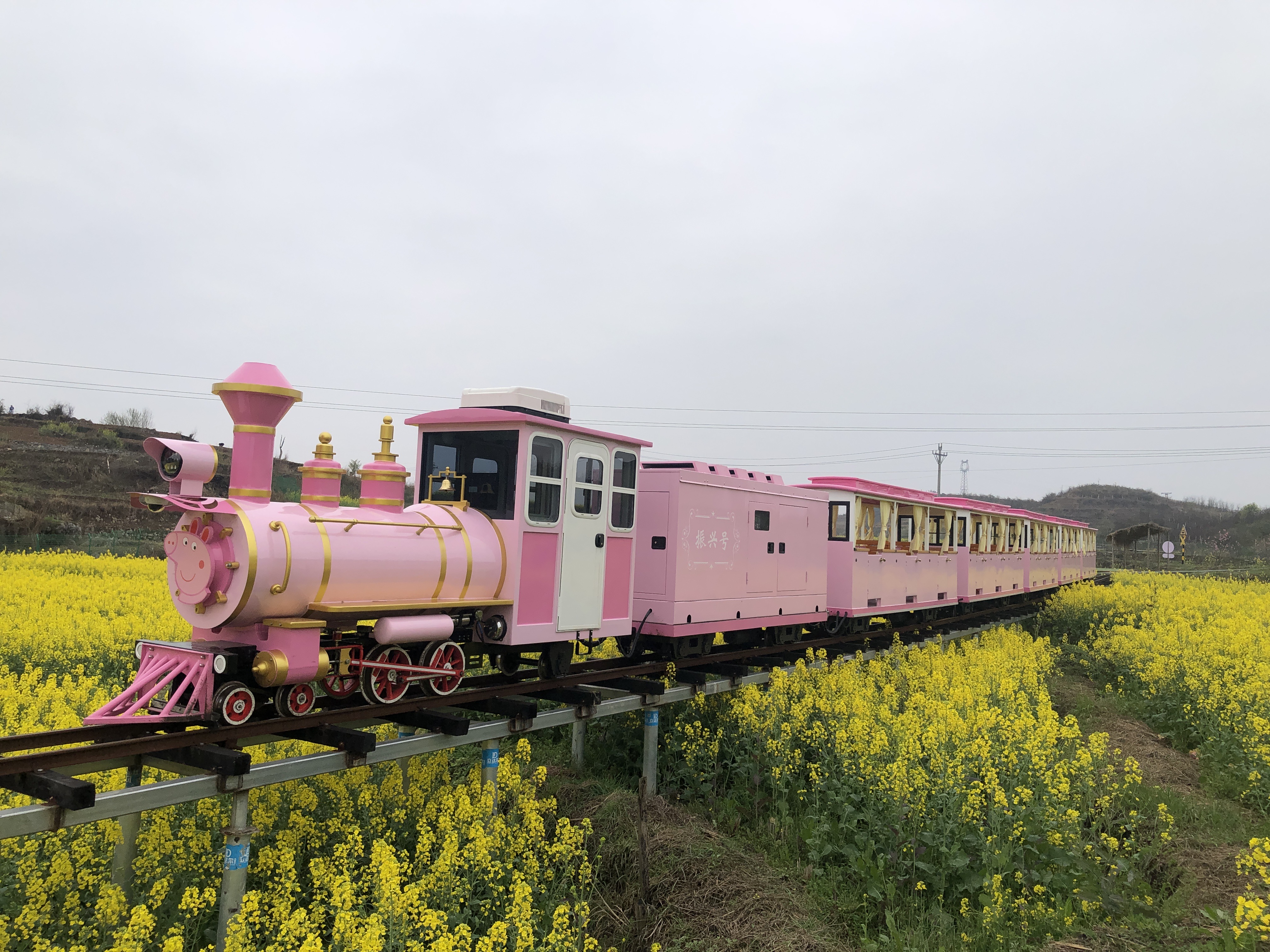 軌道觀光小火車